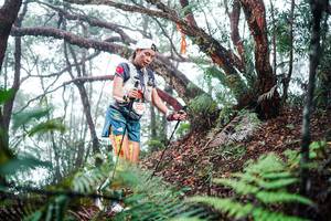 BIB: 
                            <button type="button" onclick="openModal(26295385)" class="btn btn-primary btn-sm float-right btn-popup" data-toggle="modal" data-target=".modal-high-quality">
                        <i class="fas fa-shopping-cart"></i> Add to Cart
                    </button>
                                            <button type="button" onclick="isThisMe(26295385, true)" class="btn btn-success btn-sm float-right btn-popup btn-isme hidden" data-toggle="tooltip" data-placement="bottom" title="นี่คือรูปของคุณใช่ไหม คลิกที่นี่เพื่อเอาเข้าอัลบั้ม">
                        <i class="fas fa-plus"></i> Add to album
                    </button>
                    <button type="button" onclick="isThisMe(26295385, false)" class="btn btn-warning btn-sm float-right btn-popup btn-isnotme hidden">
                        <i class="fas fa-ban"></i> Remove from album
                    </button>